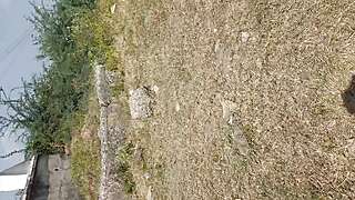 Bridge Nichey Chudayi Outdoor Village Sex