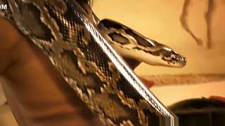 Indian MILF With a Snake