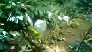 Indian Girl Fucked Outside