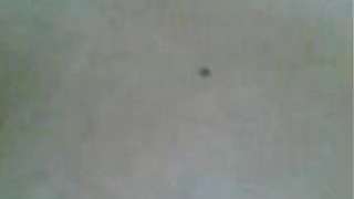 bangla girl showing all to paramour live