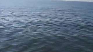 Exotic college girl get fucked in different places