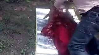 Indian husband wife hardcore outdoor fucked