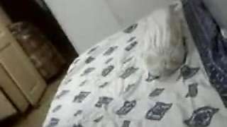 first Year Students HomeMade