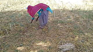 देसी इंडियन ब्वॉयफ्रेंड ने खेत में काम रही उसकी मस्त चोदा